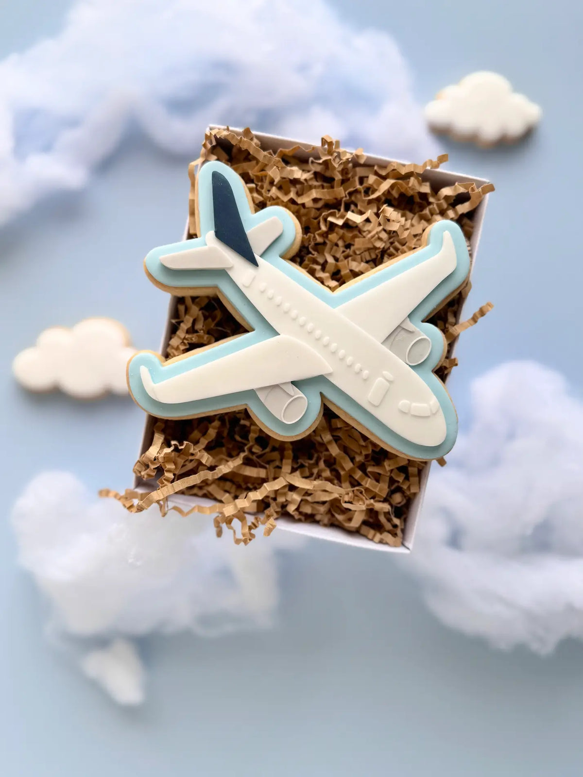 Flugzeug – Cookie Cutter & Stempel – Produktmotiv für Cookie Cutter und Stempel – Danis Drip